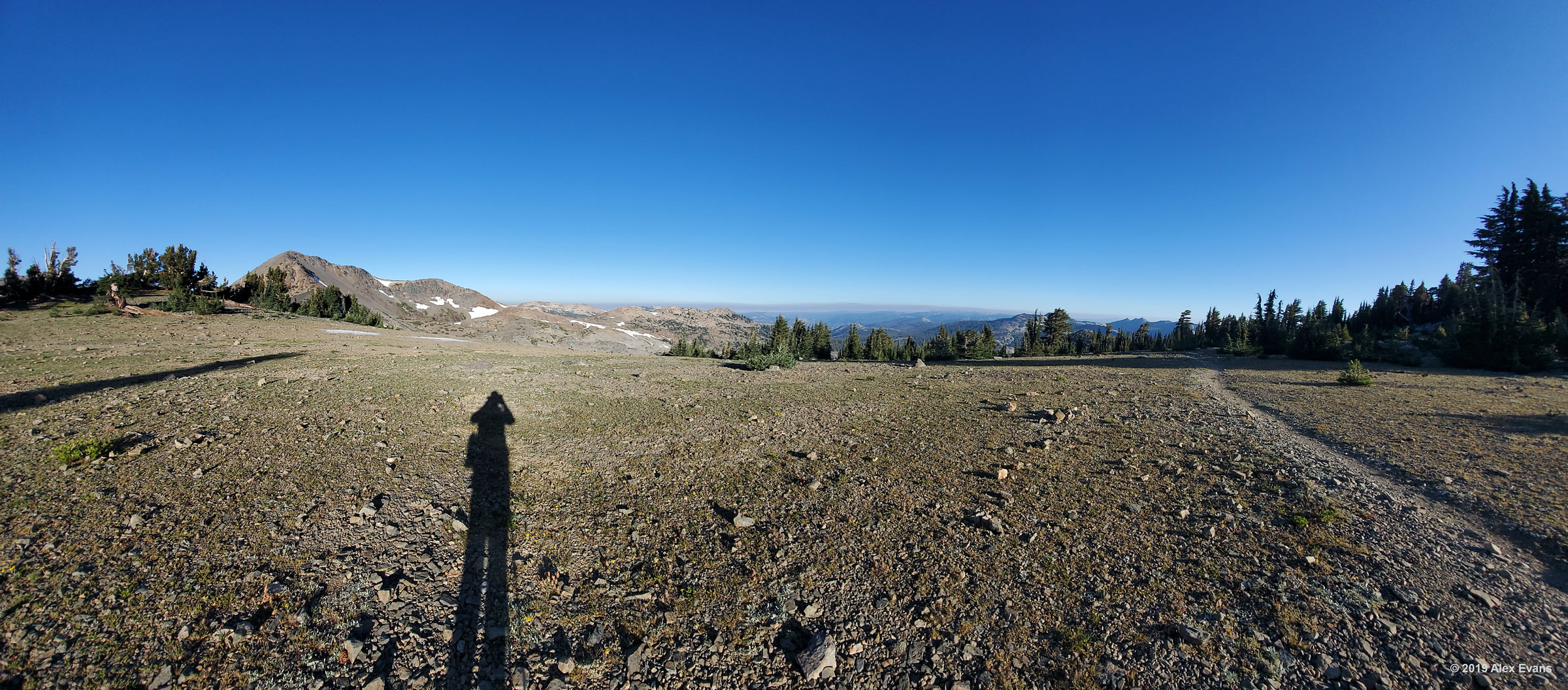 Morning view the PCT at Dicks Pass