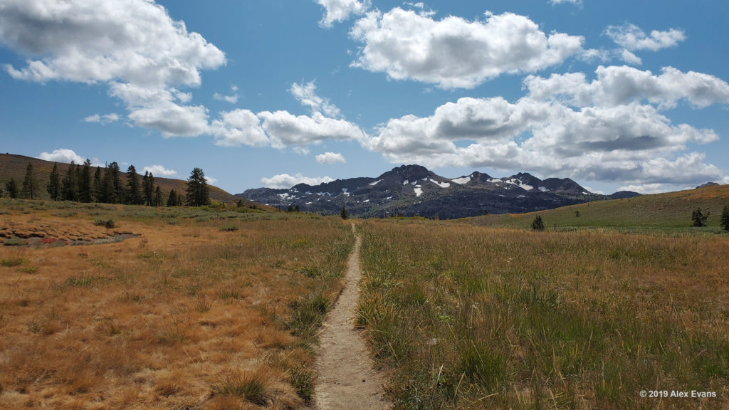 view heading south toward carson pass on the pct