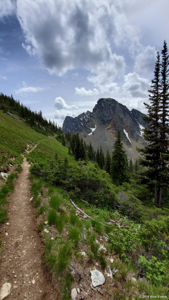 Woody Pass PCT