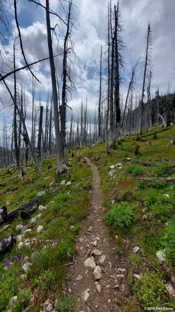 Burn area on the pct