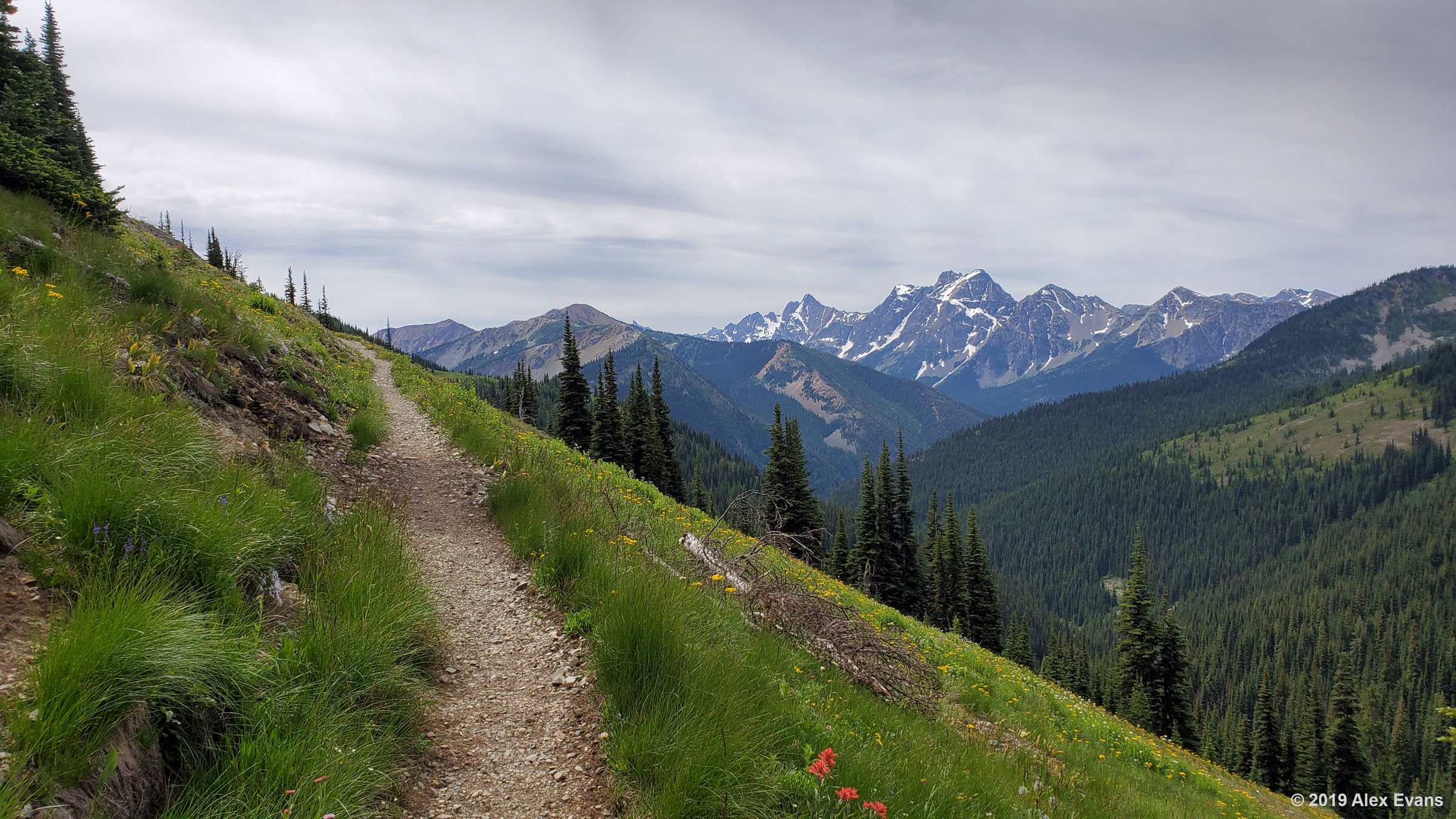 Mt. Ballard PCT