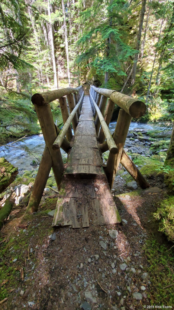 Log bridge on the PCT