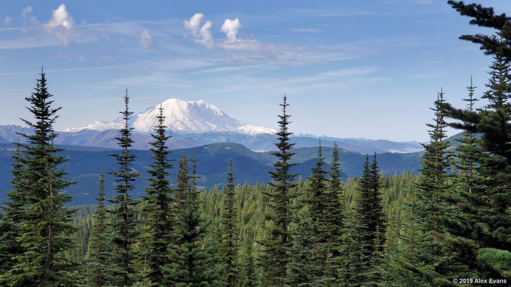 Mt Rainier view on the PCT