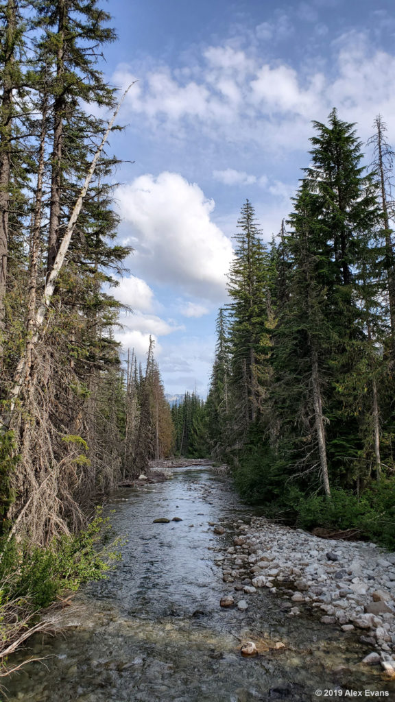 Waptus River on the PCT