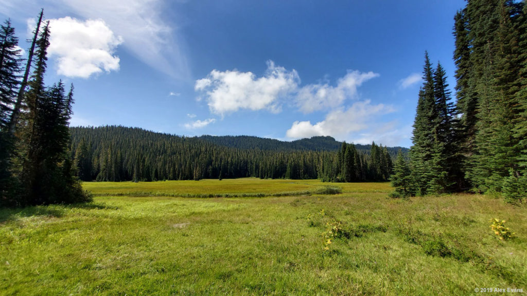 Sunny meadow on the PCT