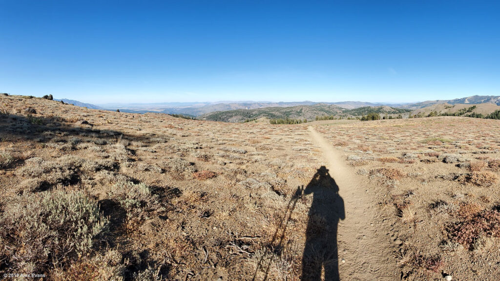 Hiker's shadow on the PCT in California