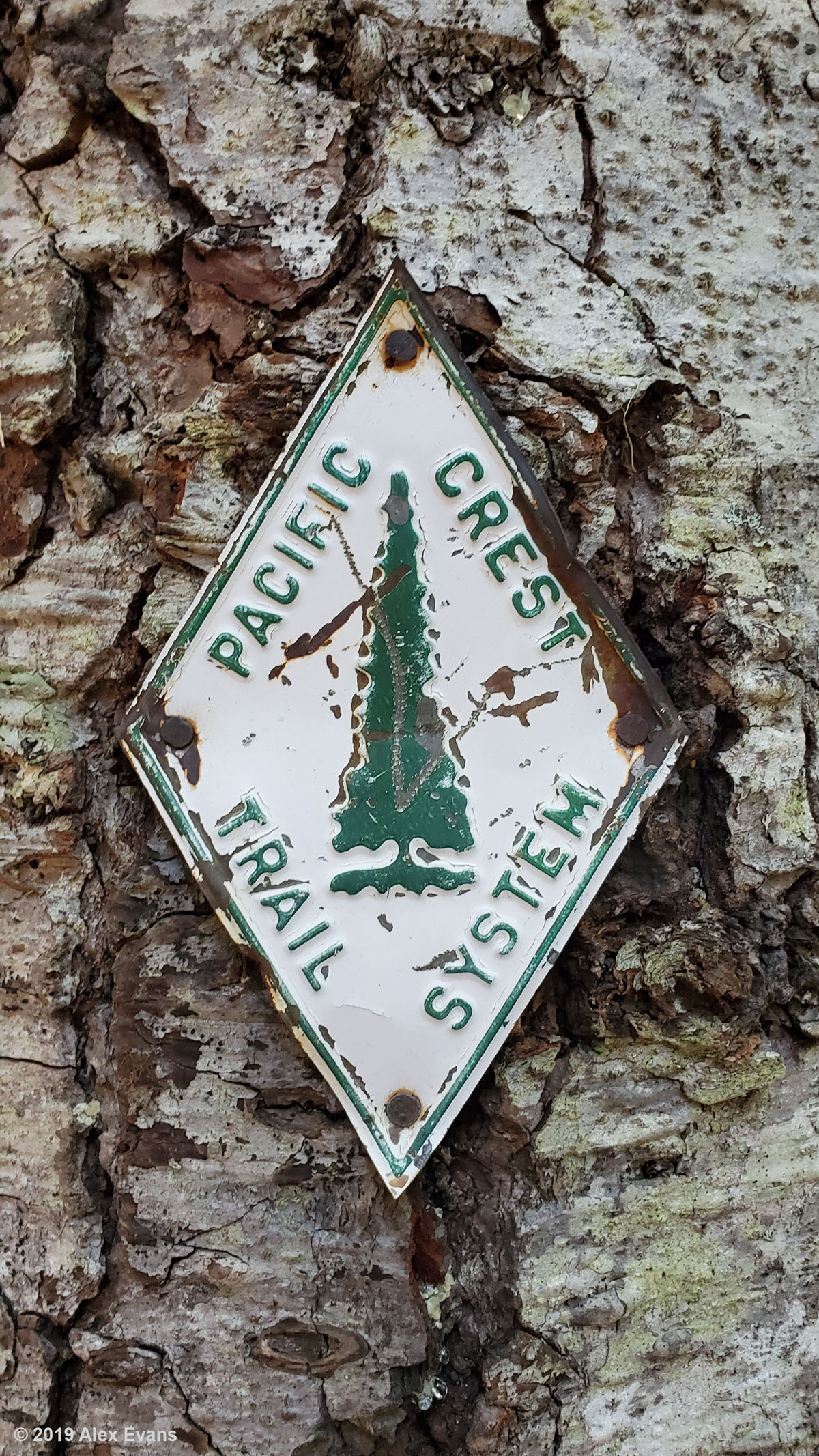 Goodbye Washington | PCT 11 | Short Leg Hiker