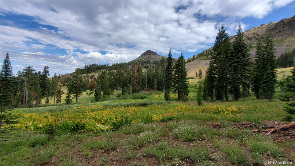 Tinker Knob on the PCT