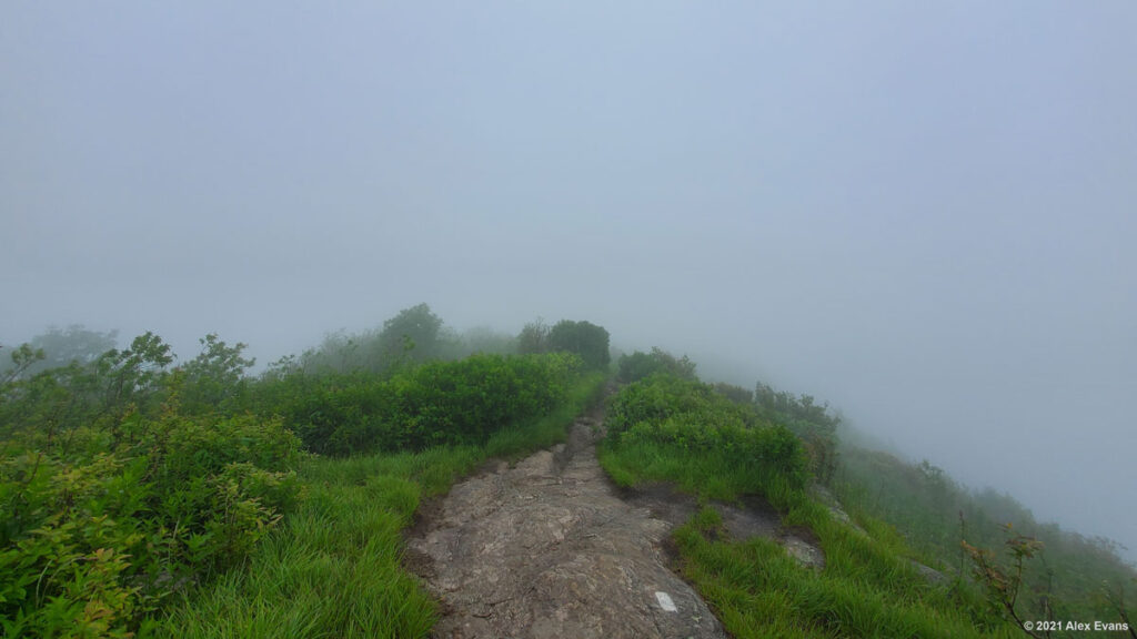 Mist on the Art Loeb Trail