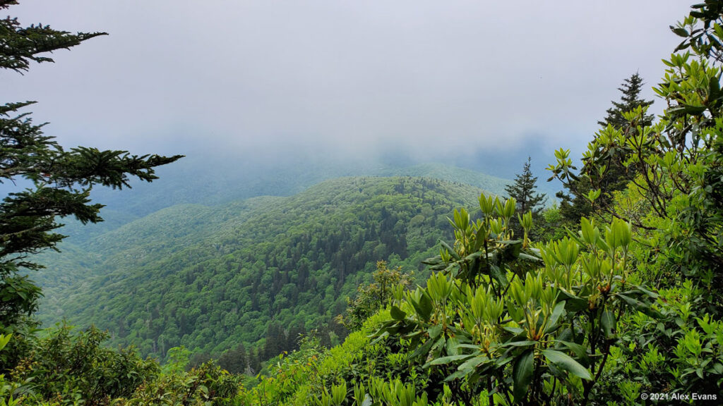 Misty mountains on the Art Loeb Trail