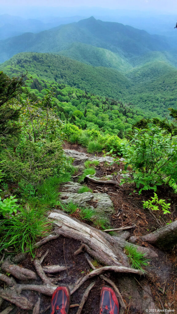 Misty view from the Art Loeb Trail