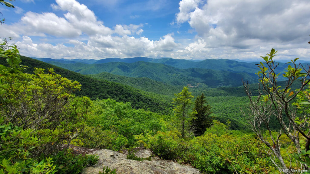 View from the Art Leob Trail